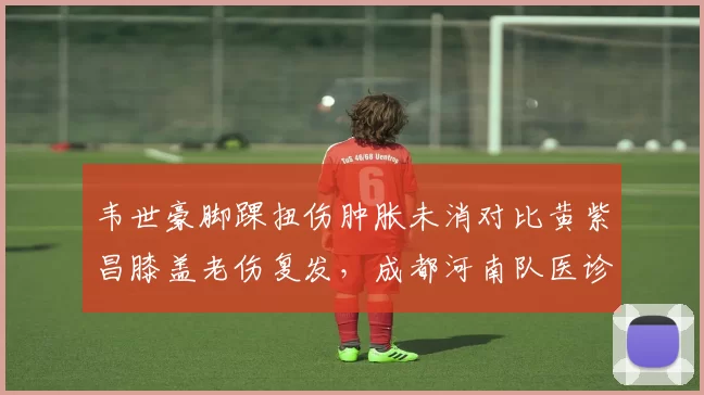 韦世豪脚踝扭伤肿胀未消对比黄紫昌膝盖老伤复发,成都河南队医诊断能力遭质疑