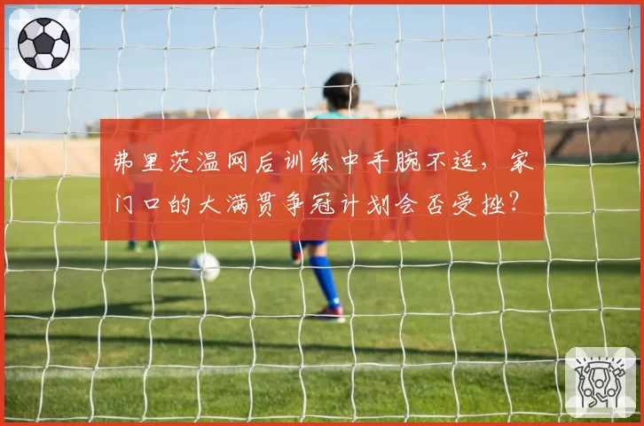 弗里茨温网后训练中手腕不适，家门口的大满贯争冠计划会否受挫？