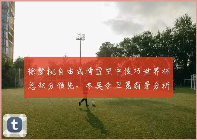 徐梦桃自由式滑雪空中技巧世界杯总积分领先，冬奥会卫冕前景分析